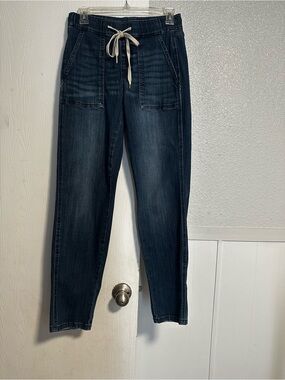 Judy Blue Jogger Denim Size 1
